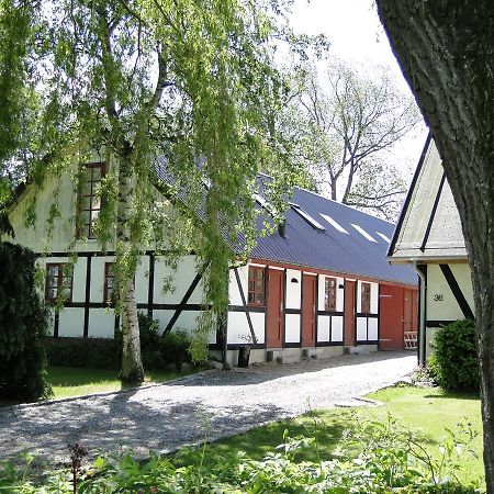 Dyssegaard B&B Skallerup Eksteriør bilde