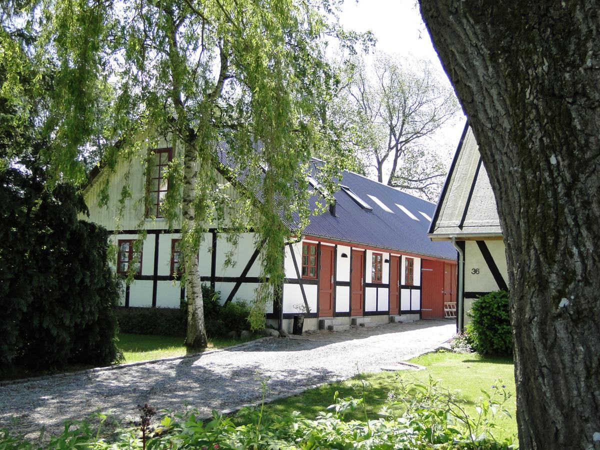 Dyssegaard B&B Skallerup Eksteriør bilde
